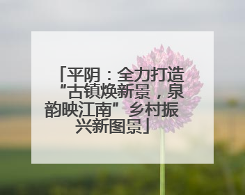 平阴：全力打造“古镇焕新景，泉韵映江南”乡村振兴新图景