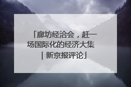 廊坊经洽会，赶一场国际化的经济大集｜新京报评论