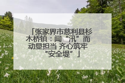 张家界市慈利县杉木桥镇：闻“汛”而动显担当 齐心筑牢“安全堤”