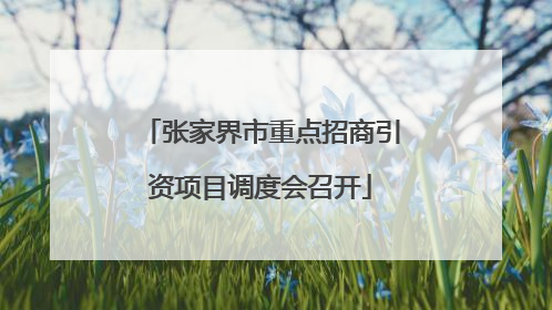 张家界市重点招商引资项目调度会召开