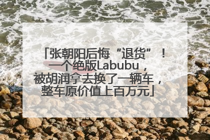张朝阳后悔“退货”！一个绝版Labubu，被胡润拿去换了一辆车，整车原价值上百万元