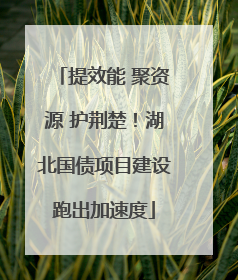 提效能 聚资源 护荆楚！湖北国债项目建设跑出加速度