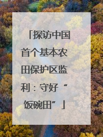 探访中国首个基本农田保护区监利：守好“饭碗田”