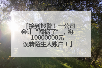 接到报警！一公司会计“闯祸了”，将10000000元误转陌生人账户！