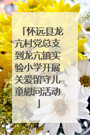 怀远县龙亢村党总支到龙亢镇实验小学开展关爱留守儿童慰问活动