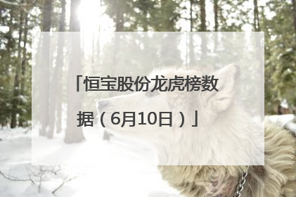 恒宝股份龙虎榜数据（6月10日）