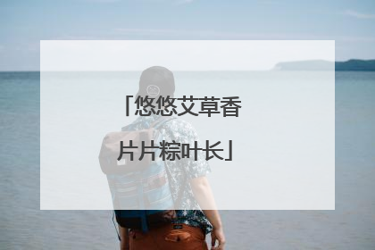 悠悠艾草香 片片粽叶长
