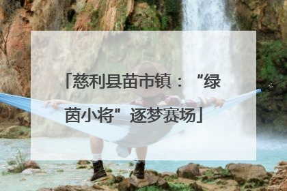慈利县苗市镇：“绿茵小将”逐梦赛场