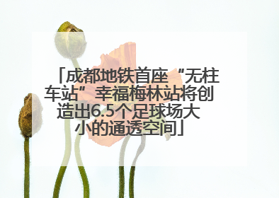 成都地铁首座“无柱车站”幸福梅林站将创造出6.5个足球场大小的通透空间