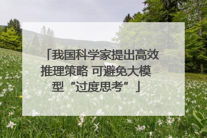 我国科学家提出高效推理策略 可避免大模型“过度思考”