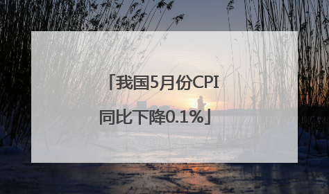 我国5月份CPI同比下降0.1%