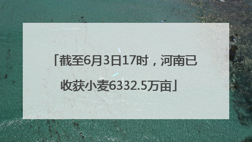截至6月3日17时，河南已收获小麦6332.5万亩