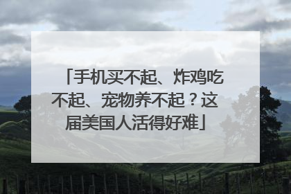 手机买不起、炸鸡吃不起、宠物养不起？这届美国人活得好难