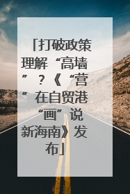 打破政策理解“高墙”？《“营”在自贸港 “画”说新海南》发布