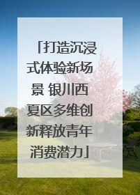 打造沉浸式体验新场景 银川西夏区多维创新释放青年消费潜力