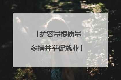 扩容量提质量 多措并举促就业