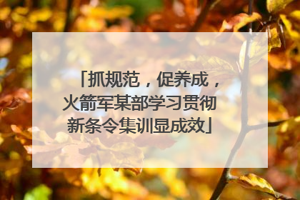 抓规范，促养成，火箭军某部学习贯彻新条令集训显成效