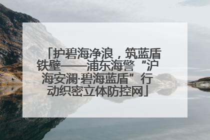 护碧海净浪，筑蓝盾铁壁——浦东海警“沪海安澜·碧海蓝盾”行动织密立体防控网