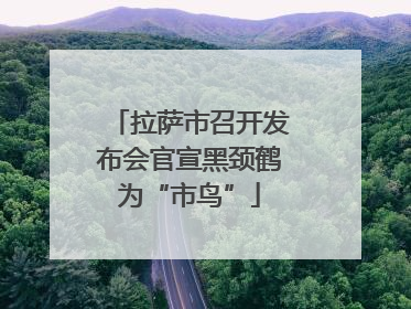 拉萨市召开发布会官宣黑颈鹤为“市鸟”