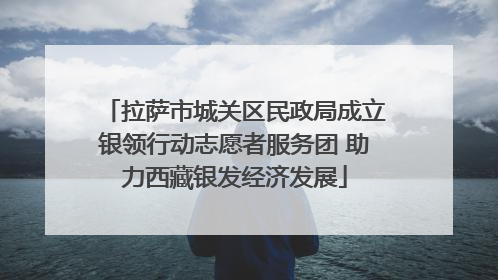 拉萨市城关区民政局成立银领行动志愿者服务团 助力西藏银发经济发展