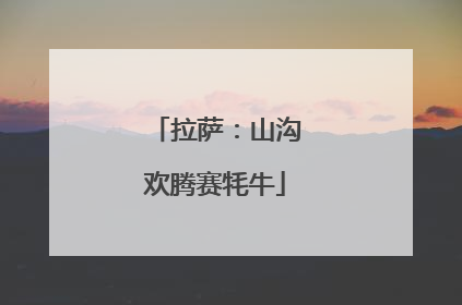 拉萨：山沟欢腾赛牦牛