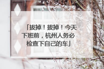 拔掉！拔掉！今天下班前，杭州人务必检查下自己的车