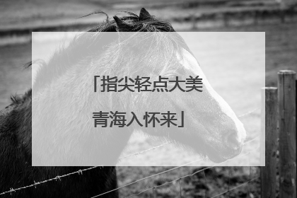 指尖轻点大美青海入怀来
