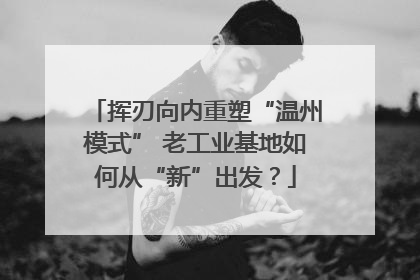 挥刃向内重塑“温州模式” 老工业基地如何从“新”出发？