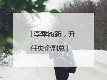 李季履新，升任央企副总