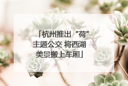 杭州推出“荷”主题公交 将西湖美景搬上车厢