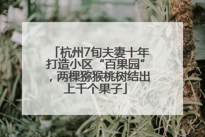 杭州7旬夫妻十年打造小区“百果园”，两棵猕猴桃树结出上千个果子