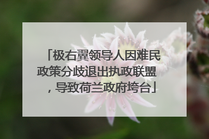 极右翼领导人因难民政策分歧退出执政联盟，导致荷兰政府垮台