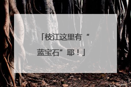 枝江这里有“蓝宝石”耶！