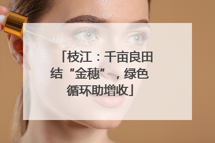 枝江：千亩良田结“金穗”，绿色循环助增收