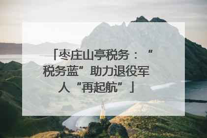 枣庄山亭税务：“税务蓝”助力退役军人“再起航”