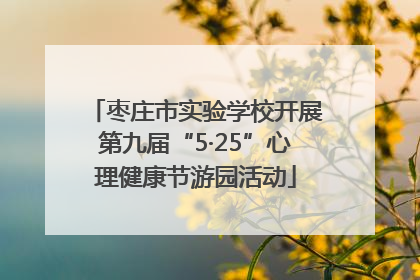 枣庄市实验学校开展第九届“5·25”心理健康节游园活动
