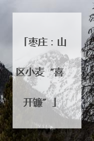 枣庄：山区小麦“喜开镰”