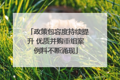 政策包容度持续提升 优质并购重组案例料不断涌现