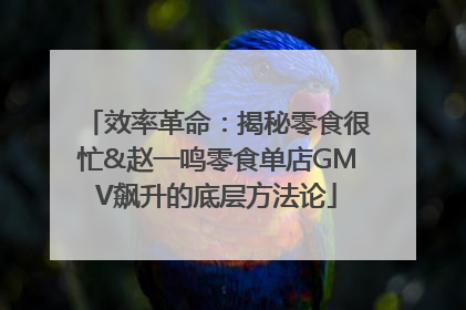 效率革命：揭秘零食很忙&赵一鸣零食单店GMV飙升的底层方法论