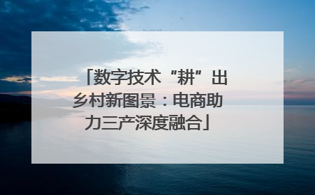 数字技术“耕”出乡村新图景：电商助力三产深度融合