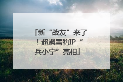 新“战友”来了！超飒雪豹IP“兵小宁”亮相