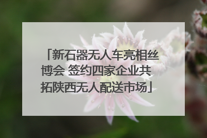 新石器无人车亮相丝博会 签约四家企业共拓陕西无人配送市场