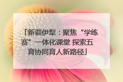 新疆伊犁：聚焦“学练赛”一体化课堂 探索五育协同育人新路径