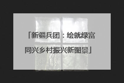 新疆兵团：绘就绿富同兴乡村振兴新图景