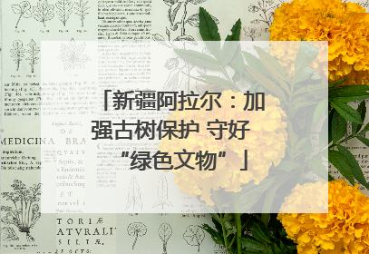新疆阿拉尔：加强古树保护 守好“绿色文物”
