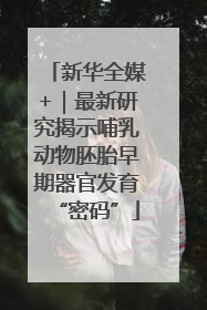 新华全媒+｜最新研究揭示哺乳动物胚胎早期器官发育“密码”