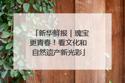 新华鲜报｜瑰宝更青春！看文化和自然遗产新光彩