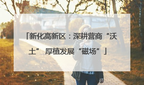 新化高新区：深耕营商“沃土” 厚植发展“磁场”