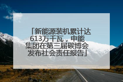 新能源装机累计达613万千瓦，申能集团在第三届碳博会发布社会责任报告