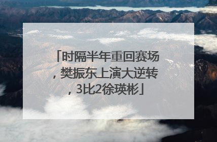 时隔半年重回赛场，樊振东上演大逆转，3比2徐瑛彬